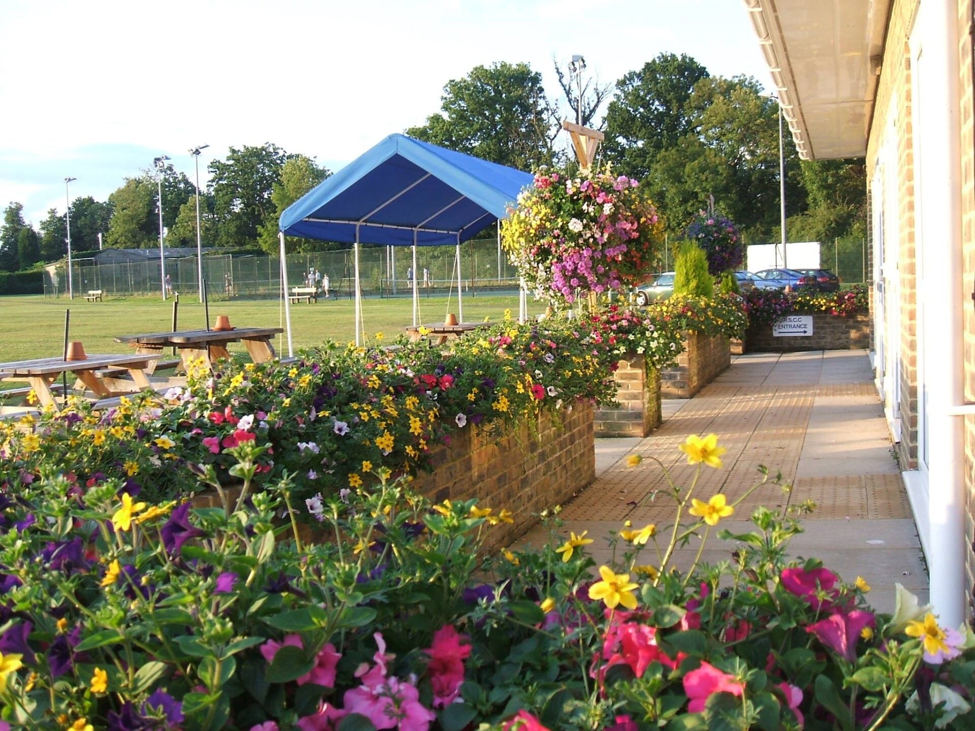 baskets in bloom logo